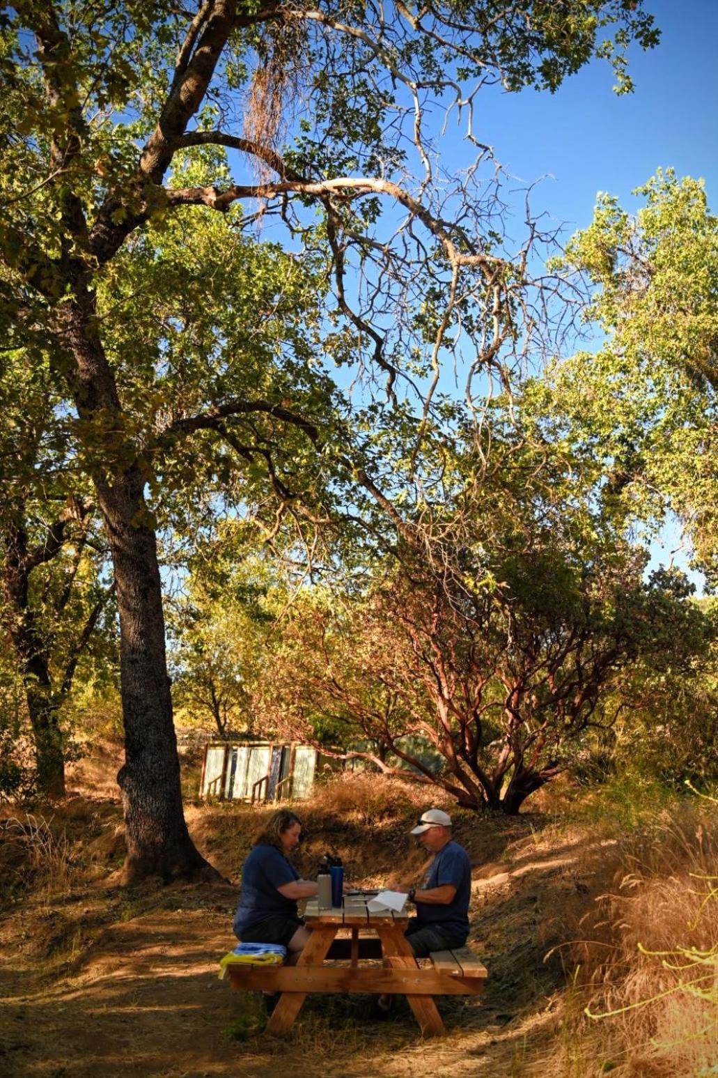 Campground At Sequoia Mountain Farms - Bring Your Own Tent Or Rv - No Bedrooms Or Beds Provided Miramonte Kültér fotó